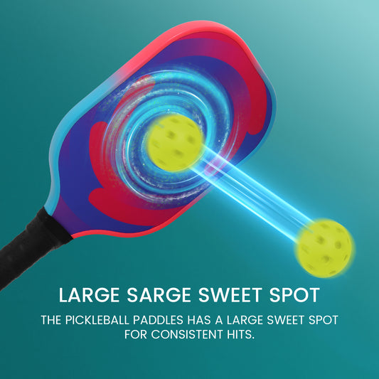 RIAICY Pickle Ball Rackets for Adults Pickleball Paddles Set of 2 Fiberglass Pickleball Racquet Strong Impact Resistance suitable for Beginners